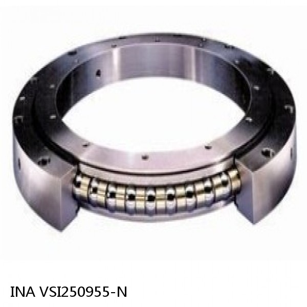VSI250955-N INA Slewing Ring Bearings