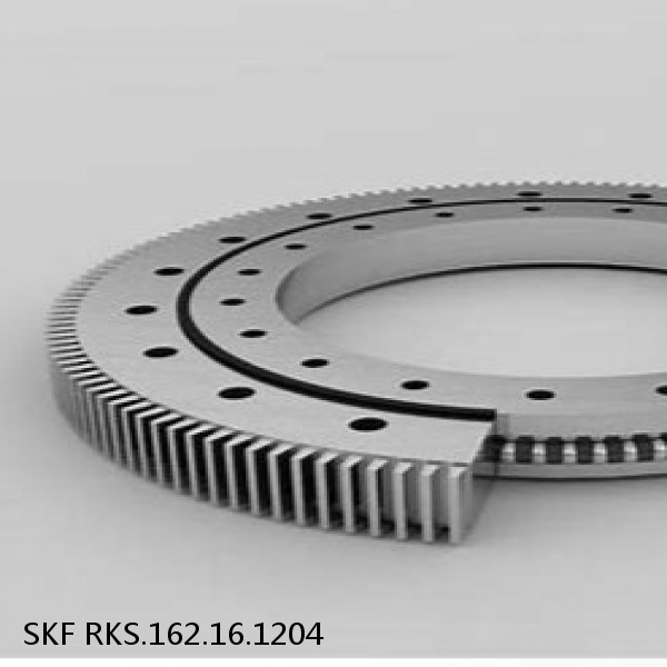 RKS.162.16.1204 SKF Slewing Ring Bearings