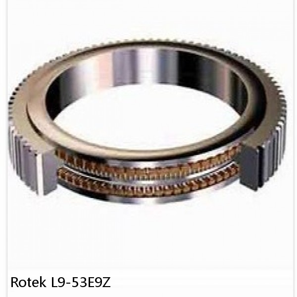 L9-53E9Z Rotek Slewing Ring Bearings #1 small image