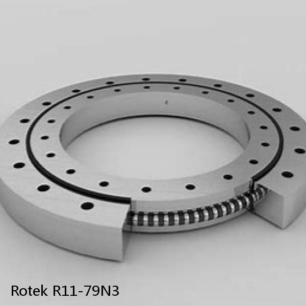 R11-79N3 Rotek Slewing Ring Bearings #1 small image