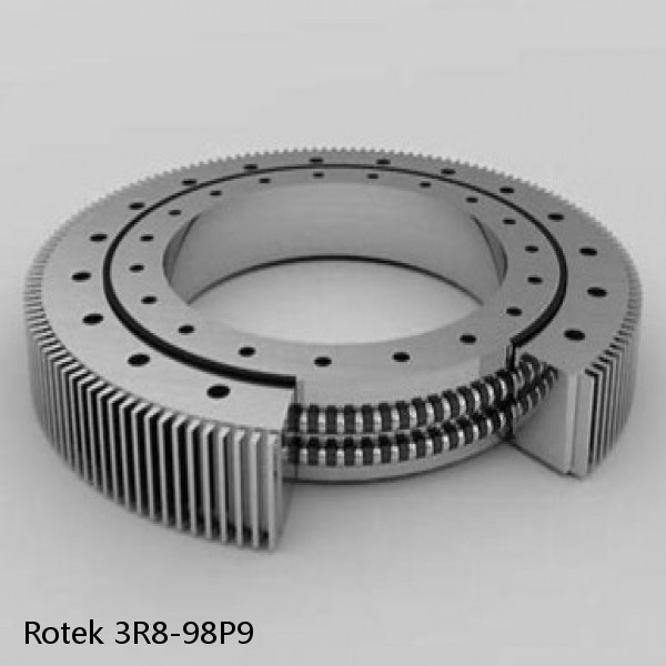 3R8-98P9 Rotek Slewing Ring Bearings #1 small image