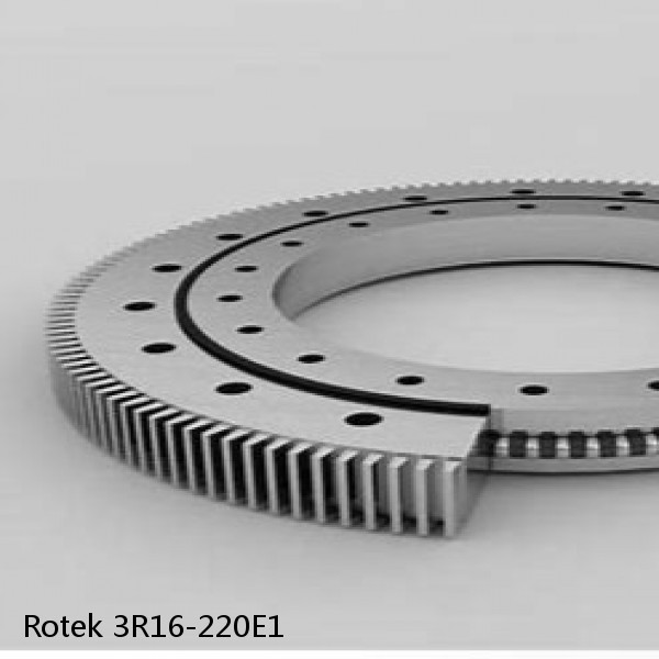 3R16-220E1 Rotek Slewing Ring Bearings #1 small image