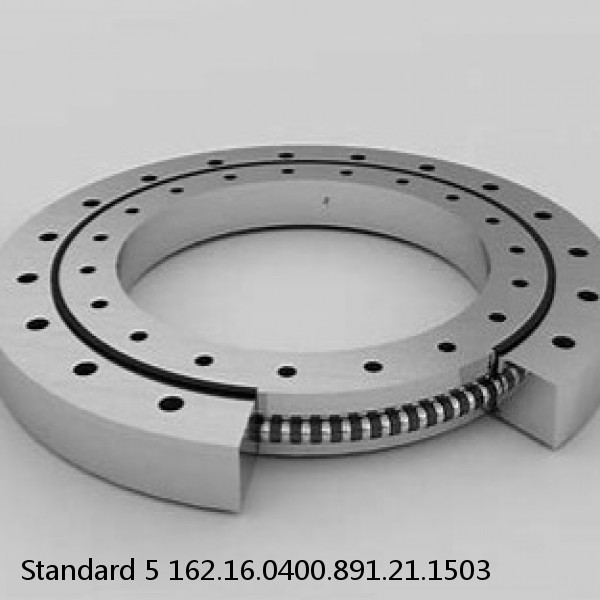 162.16.0400.891.21.1503 Standard 5 Slewing Ring Bearings #1 small image