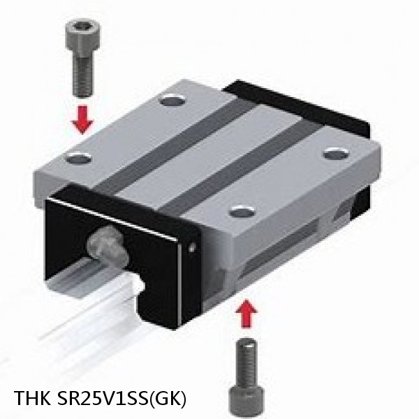 SR25V1SS(GK) THK Radial Linear Guide (Block Only) Interchangeable SR Series #1 small image