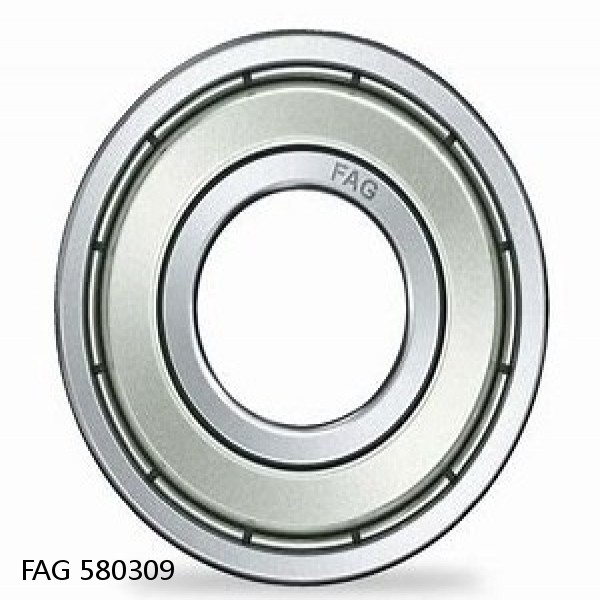 580309 FAG Cylindrical Roller Bearings #1 small image