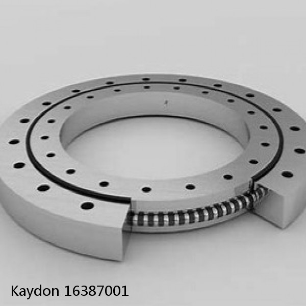 16387001 Kaydon Slewing Ring Bearings #1 image