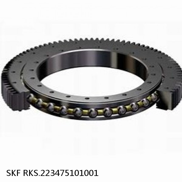 RKS.223475101001 SKF Slewing Ring Bearings #1 image