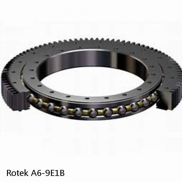 A6-9E1B Rotek Slewing Ring Bearings #1 image