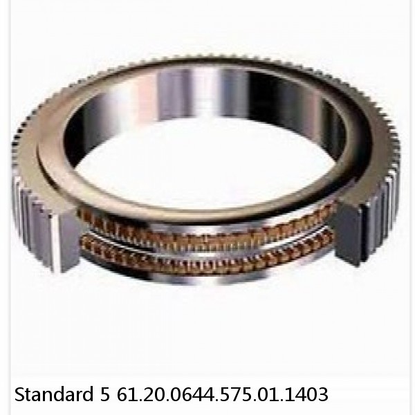 61.20.0644.575.01.1403 Standard 5 Slewing Ring Bearings #1 image