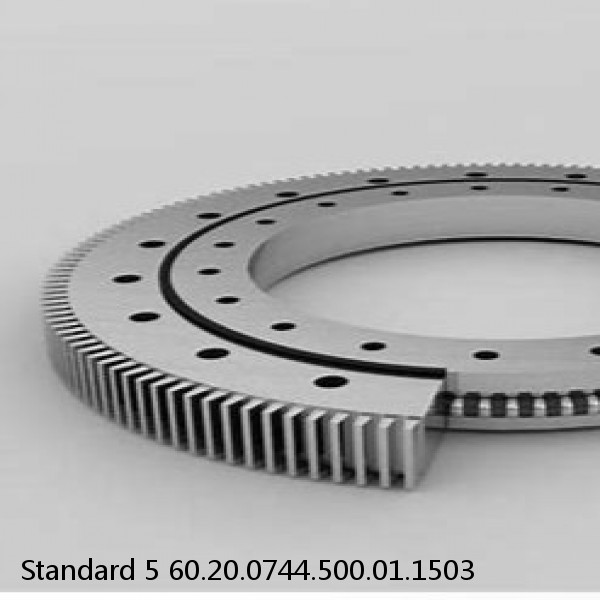 60.20.0744.500.01.1503 Standard 5 Slewing Ring Bearings #1 image