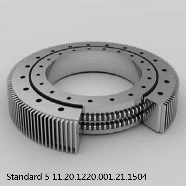 11.20.1220.001.21.1504 Standard 5 Slewing Ring Bearings #1 image