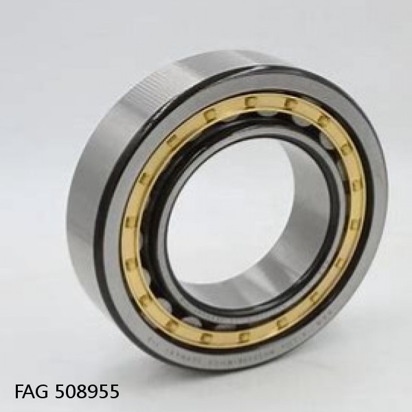508955 FAG Cylindrical Roller Bearings #1 image